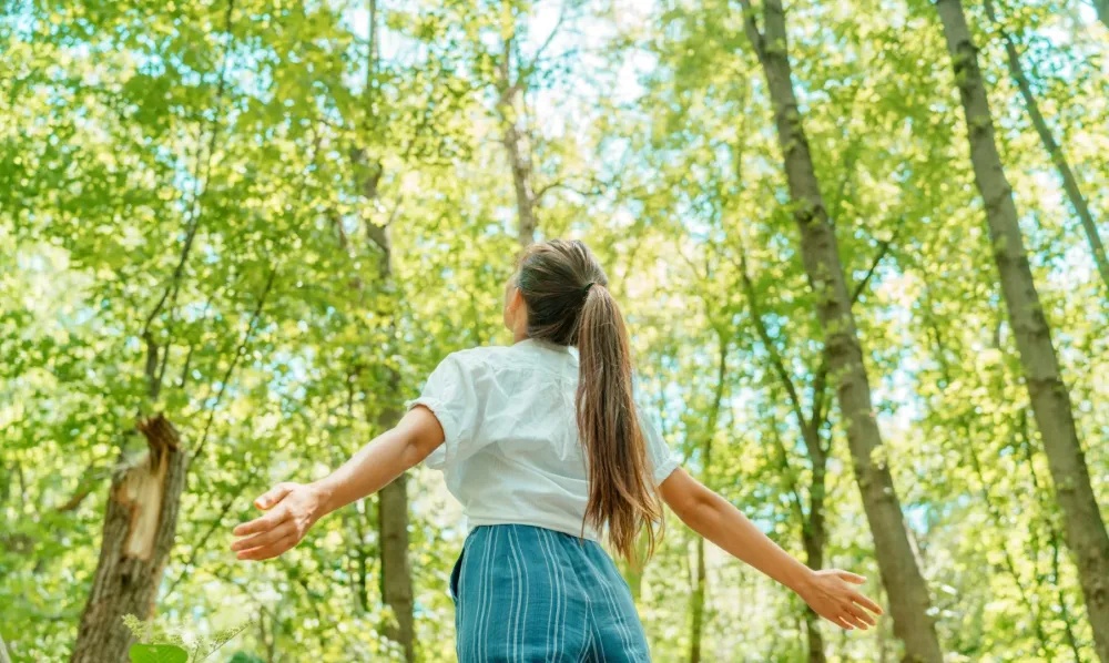 Environnement foret
